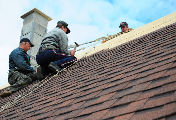 Roof Gutter Cleaning in Belle Plaine, IA