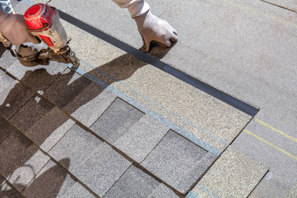 Best Flat Roof Repair Services  in Belle Plaine, IA