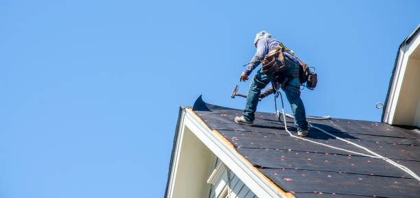 Best Roof Maintenance Services  in Belle Plaine, IA
